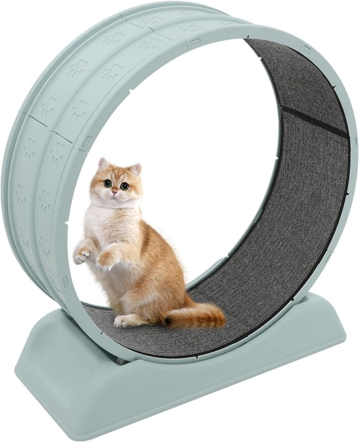 Roue d'exercice pour chat - fonctionnement silencieux, rev¨ºtement boucl¨¦, 80 cm, bleu